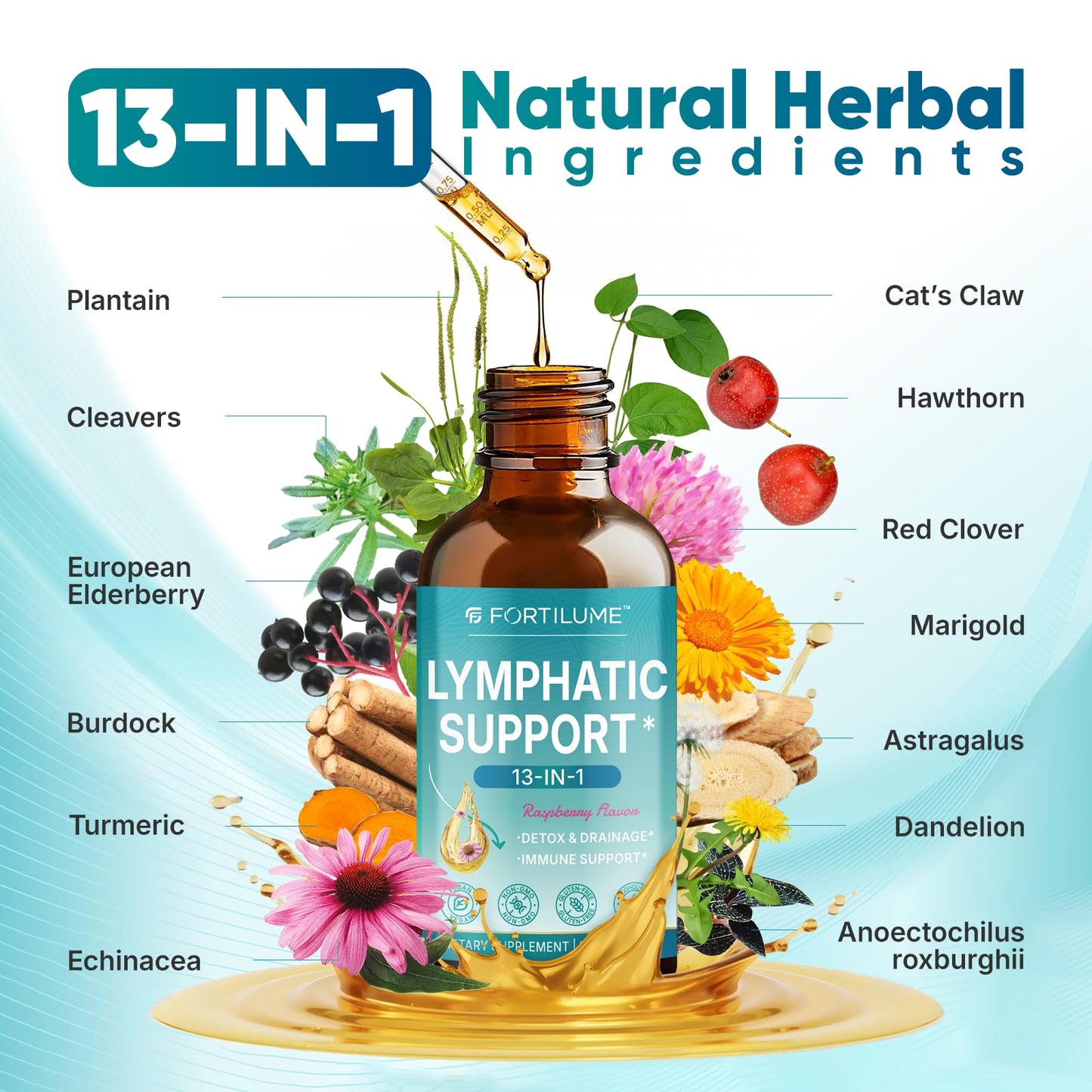 FORTILUME Liposomal Lymphatic Drainage Drops, 13 in 1 Lymphatic Support Drops with Elderberry & Echinacea, Immune & Lymph System Support, Raspberry Flavor, 2 Fl.Oz (30 Servings) - dailyvitalstore