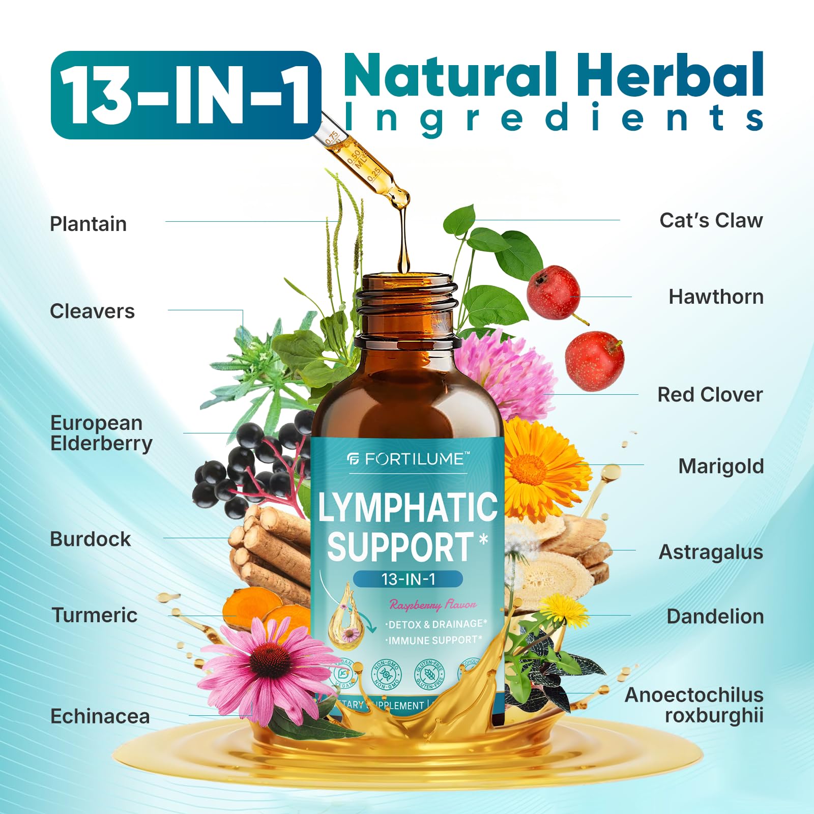 FORTILUME Liposomal Lymphatic Drainage Drops, 13 in 1 Lymphatic Support Drops with Elderberry & Echinacea, Immune & Lymph System Support, Raspberry Flavor, 2 Fl.Oz (30 Servings) - dailyvitalstore