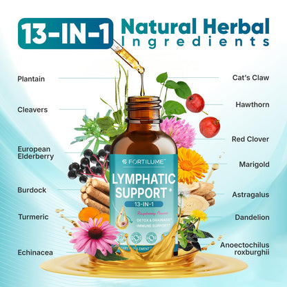 FORTILUME Liposomal Lymphatic Drainage Drops, 13 in 1 Lymphatic Support Drops with Elderberry & Echinacea, Immune & Lymph System Support, Raspberry Flavor, 2 Fl.Oz (30 Servings) - dailyvitalstore