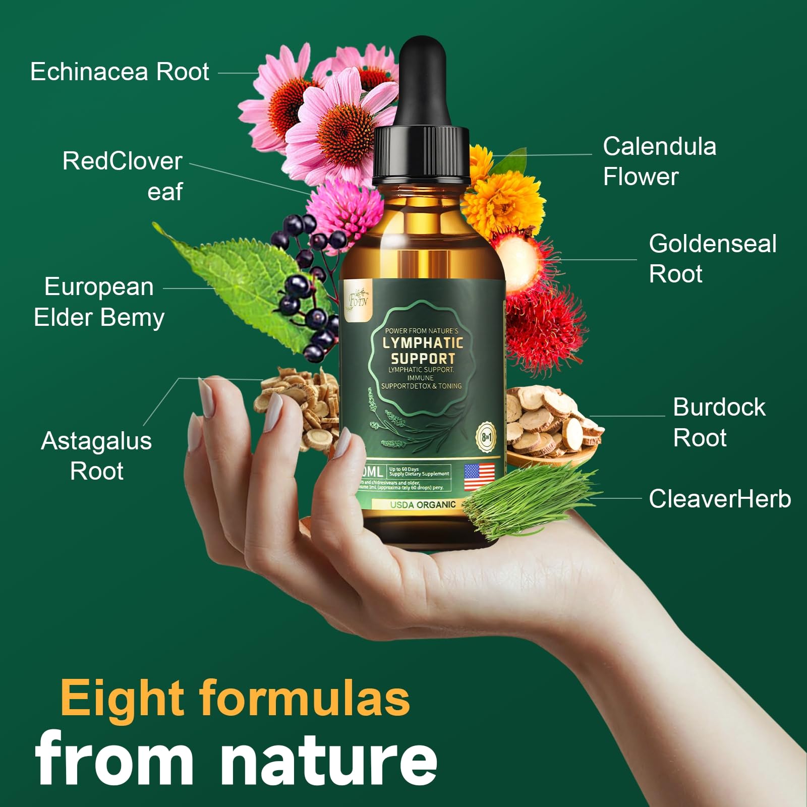 FOTN Lymphatic Drainage Drops - Organic Herbal Supplements - Echinacea | Elderberry | Astragalus | Burdock | Calendula | - Immune Support, Lymphatic Detoxd&Cleanse, 2 fl oz - dailyvitalstore