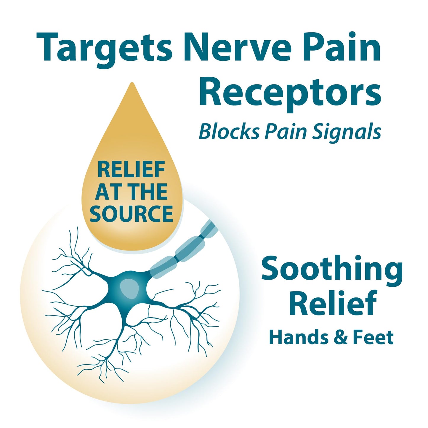 FRANKINCENSE & MYRRH Foot Pain Combo Pack: Foot Pain Relief Rubbing Oil (2 oz) and Intensive Therapy Lotion for feet (3 oz), Neuropathy, Nerve Relief, Frankincense Essential Oil, Maximum Strength - dailyvitalstore