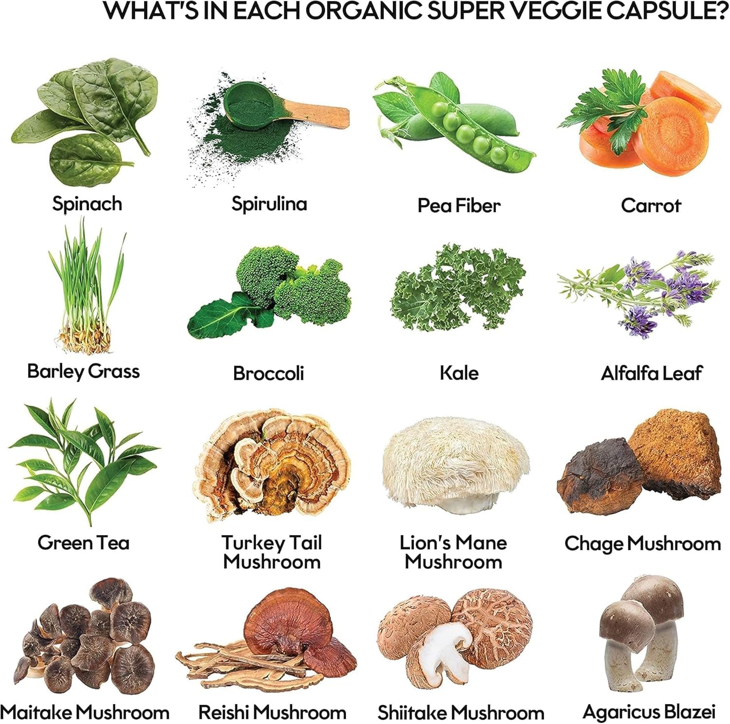 Fruits and Veggies Supplement Powerfull Blend of 39 Whole Fruits and Veggies, Fills Nutritional Gaps, Get Energy, Well-being. USA Made Non-GMO/Vegan/Gluten Free. Packaging May Vary (60 Day Supply) - dailyvitalstore