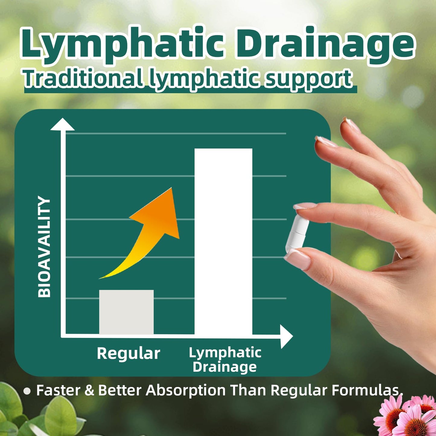 FRZVEO Lymphatic Drainage Capsules, 120 Capsules New Maximum Potency Formula 2 Month Supply with Dandelion Extract, Cleavers Extract - Supports Cellulite Reduction, Lymphatic Drainage & Immune Health - dailyvitalstore