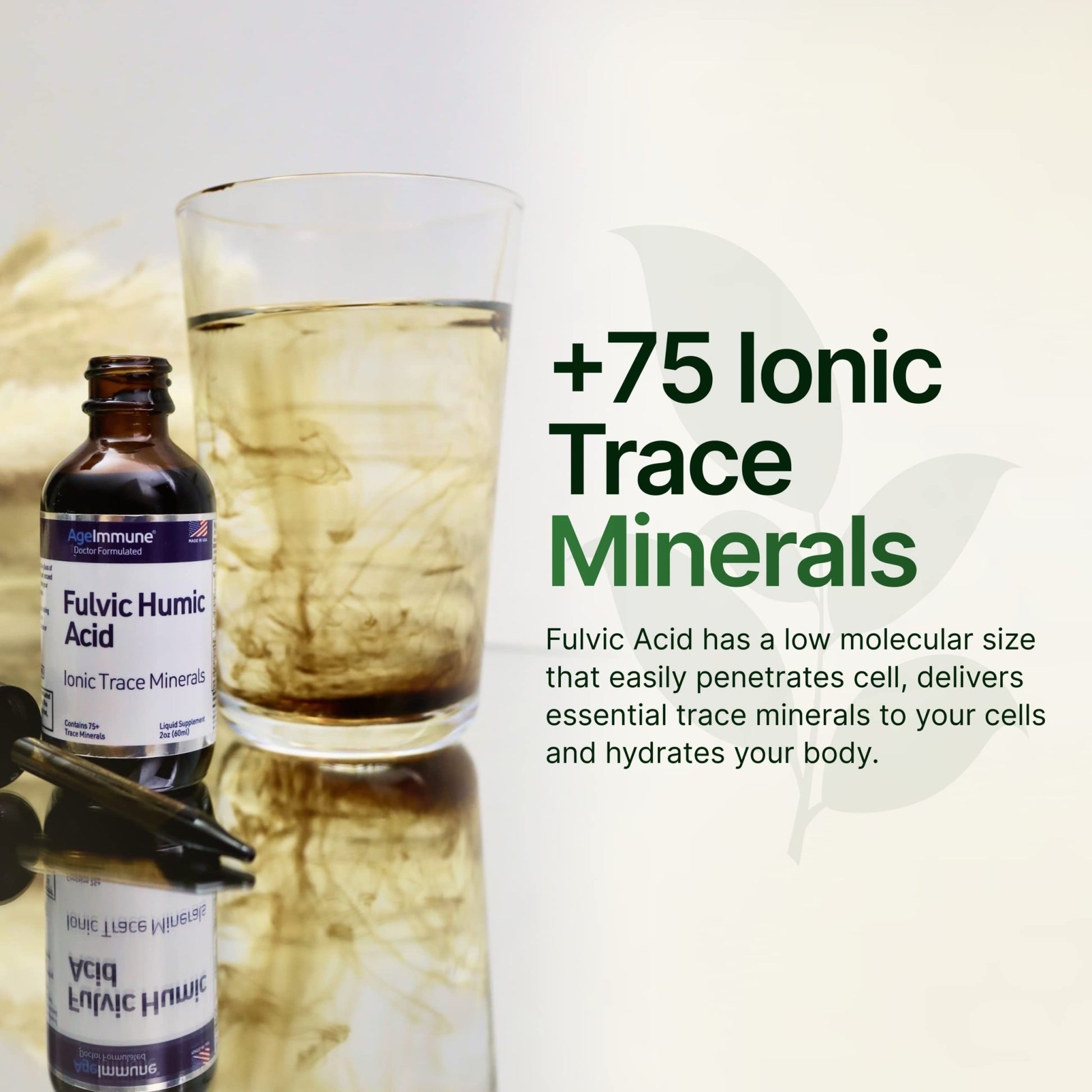 Fulvic Humic Acid 75 + Trace Minerals Liquid Supplement - Plant Derived in USA - Fulvic Acid Minerals Concentrate for Energy, Gut Health and Hydration - dailyvitalstore