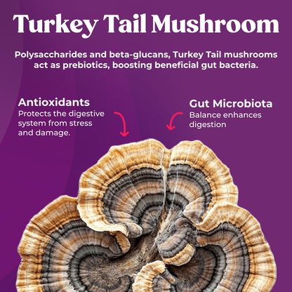 Fungiments Super Prune - Mushroom Supplement - Turkey Tail Mushrooms, Fiber, Rhubarb, Prunes, Ginger, Chamomile - Debloating, Constipation Relief - dailyvitalstore