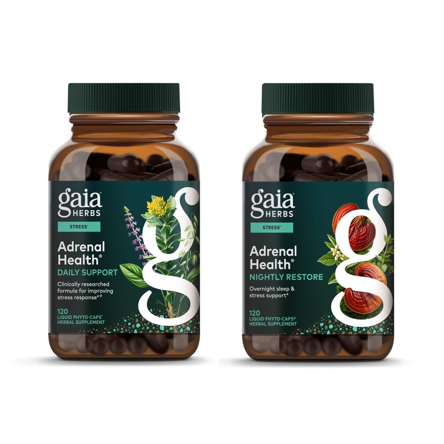 Gaia Herbs Adrenal Health Daily Support, Help Maintain Healthy Energy & Stress Levels*,120 Liquid Phyto-Caps Adrenal Health Nightly Restore, 120 Liquid Phyto-Caps - Bundle - dailyvitalstore