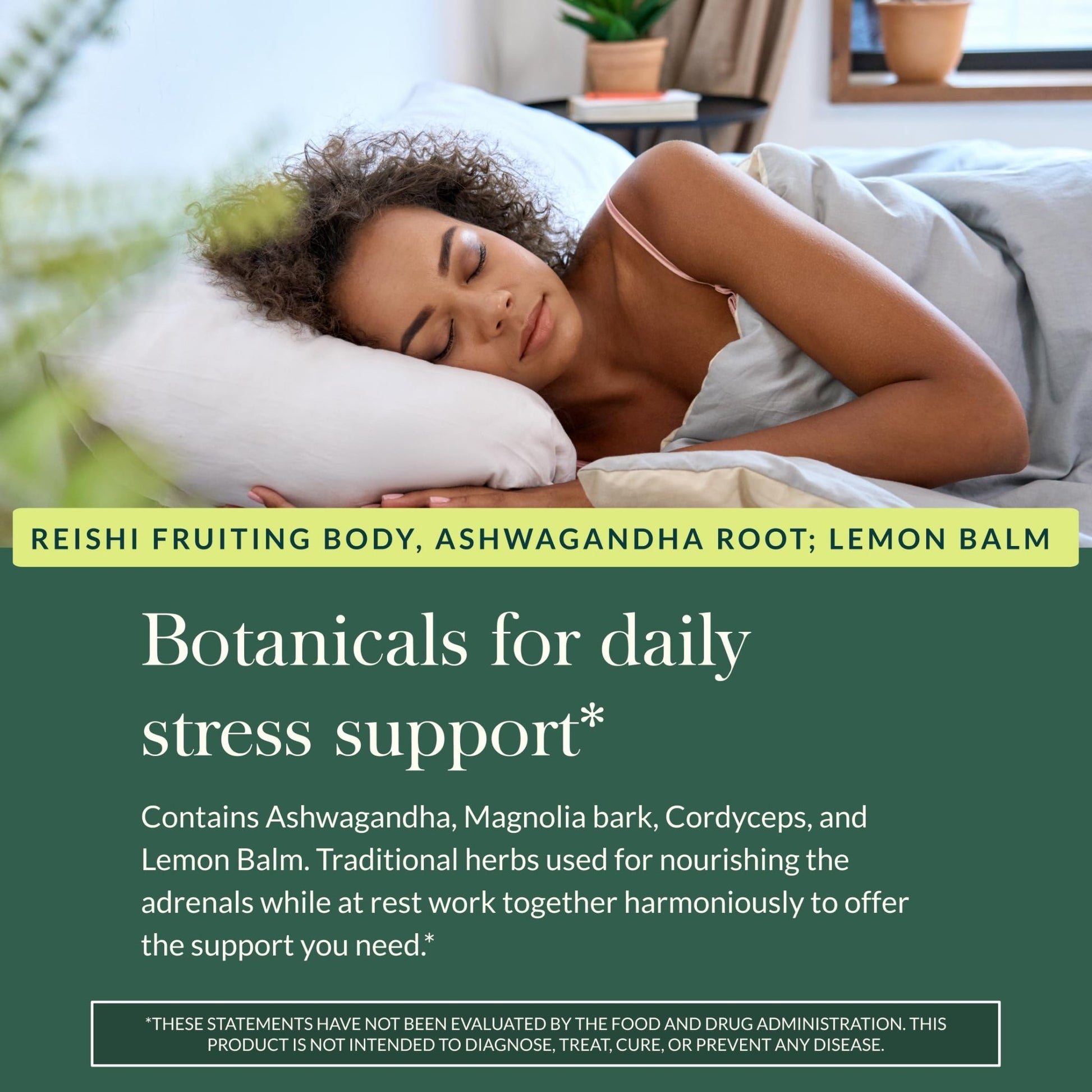 Gaia Herbs Adrenal Health Daily Support, Help Maintain Healthy Energy & Stress Levels*,120 Liquid Phyto-Caps Adrenal Health Nightly Restore, 120 Liquid Phyto-Caps - Bundle - dailyvitalstore