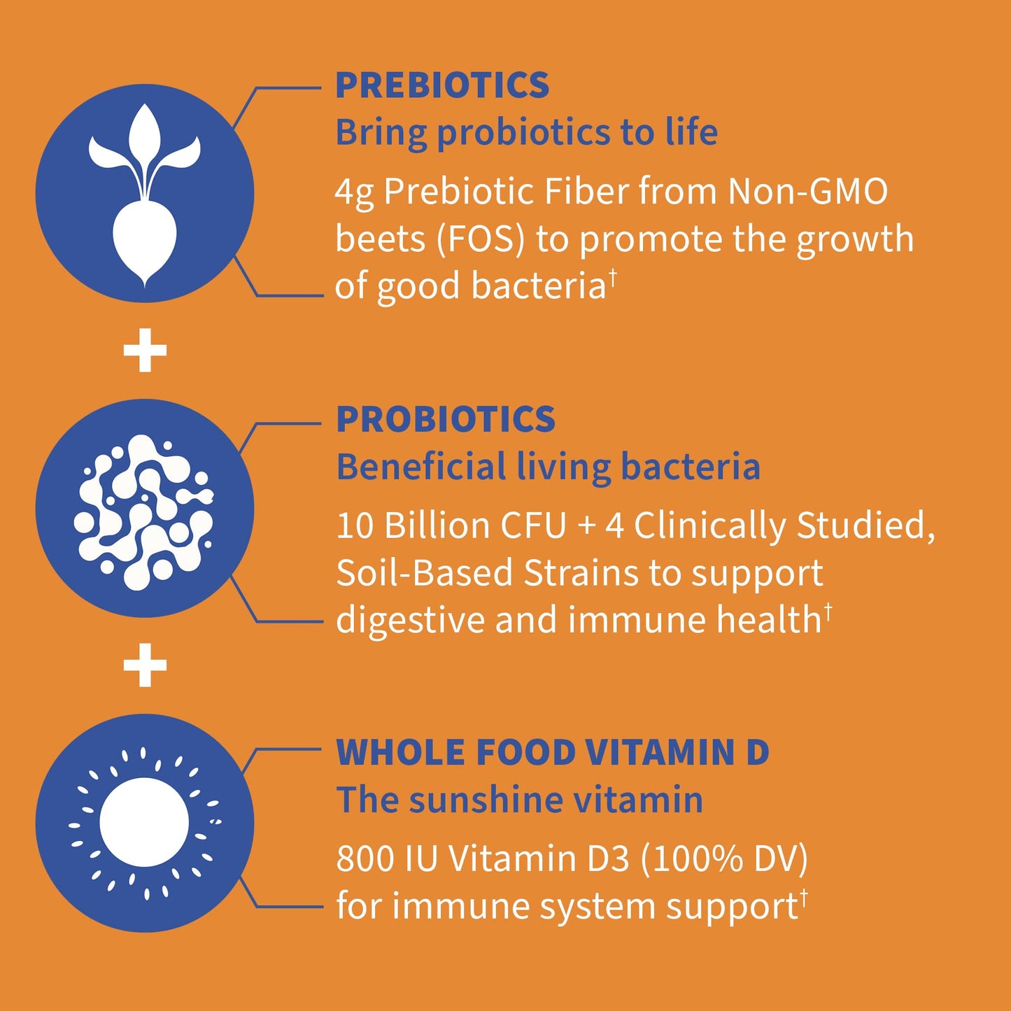 Garden of Life Dr Formulated 10 Billion CFU Prebiotic Fiber & Probiotic Gummies with Vitamin D3 for Digestive and Immune Health – Gluten Free, Non GMO - dailyvitalstore