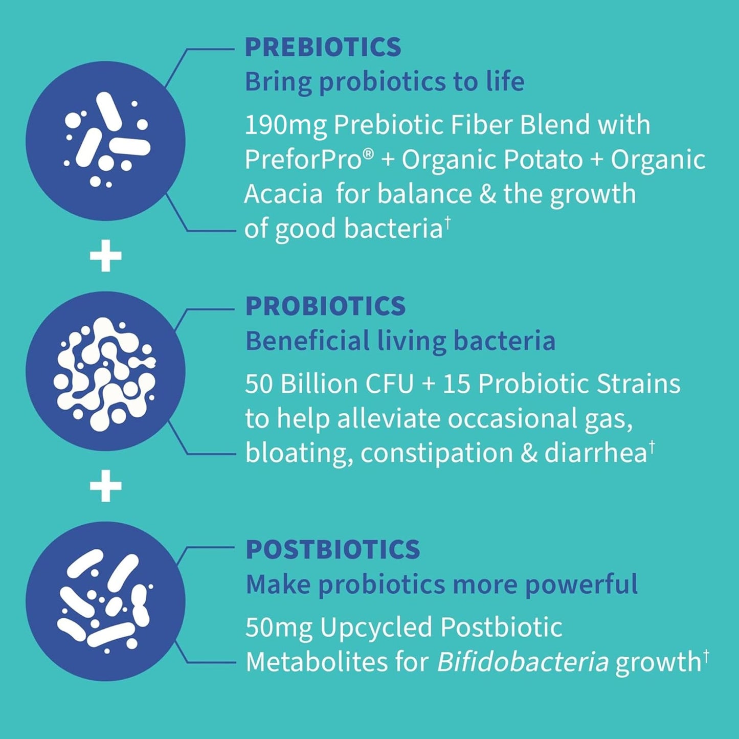 Garden of Life Dr. Formulated Pre, Post & Probiotics Gas & Bloating Once Daily 3-in-1 Complete Prebiotics, Postbiotics & Probiotics – 50 Billion CFU - dailyvitalstore