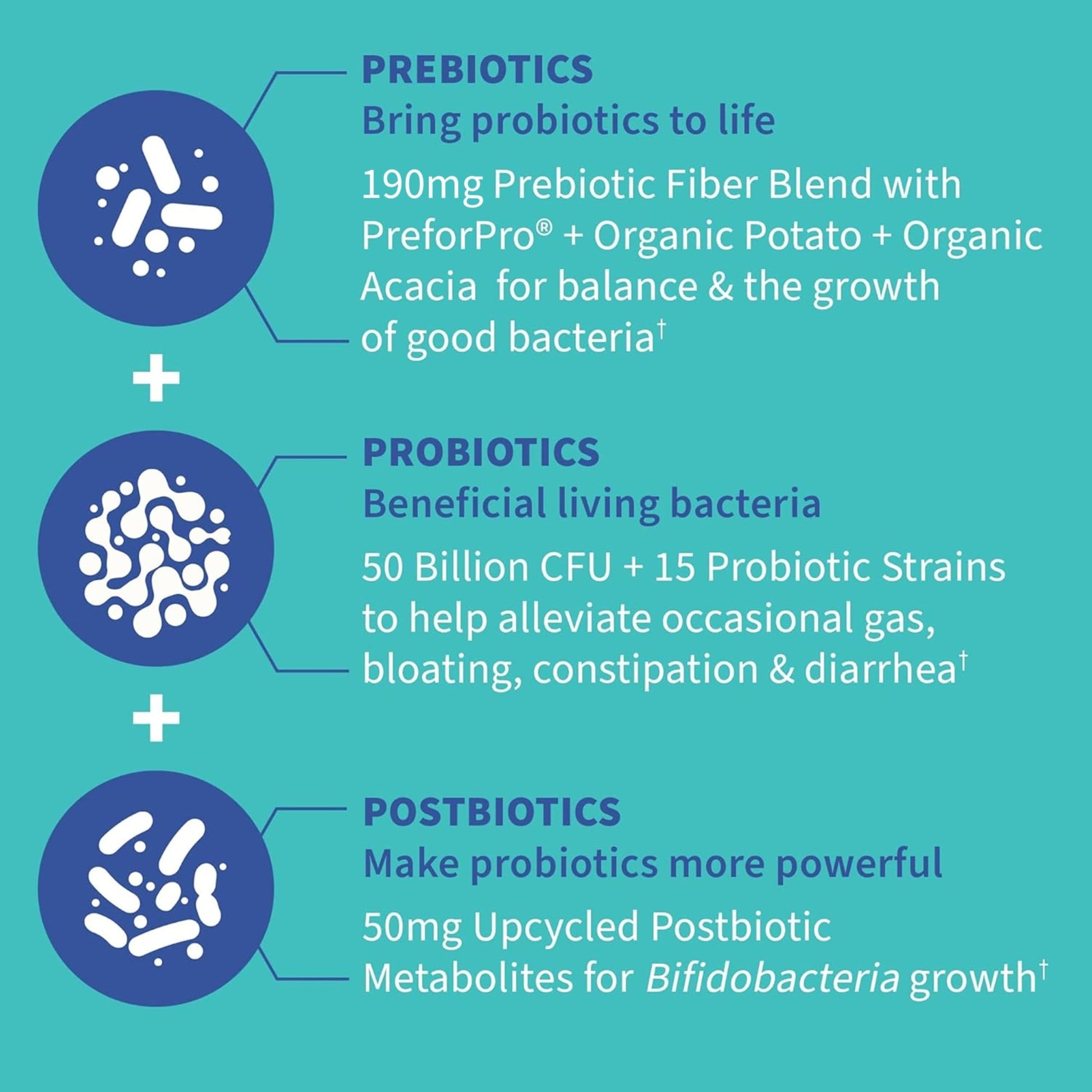 Garden of Life Dr. Formulated Pre, Post & Probiotics Gas & Bloating Once Daily 3-in-1 Complete Prebiotics, Postbiotics & Probiotics – 50 Billion CFU, Non-GMO, Gluten-Free, 30 Day Supply - dailyvitalstore
