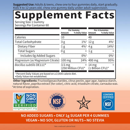 Garden of Life Magnesium Citrate Supplement Gummies with Prebiotics & Probiotics for Stress, Sleep & Recovery - Vegan, Gluten Free, Kosher, Non-GMO - dailyvitalstore