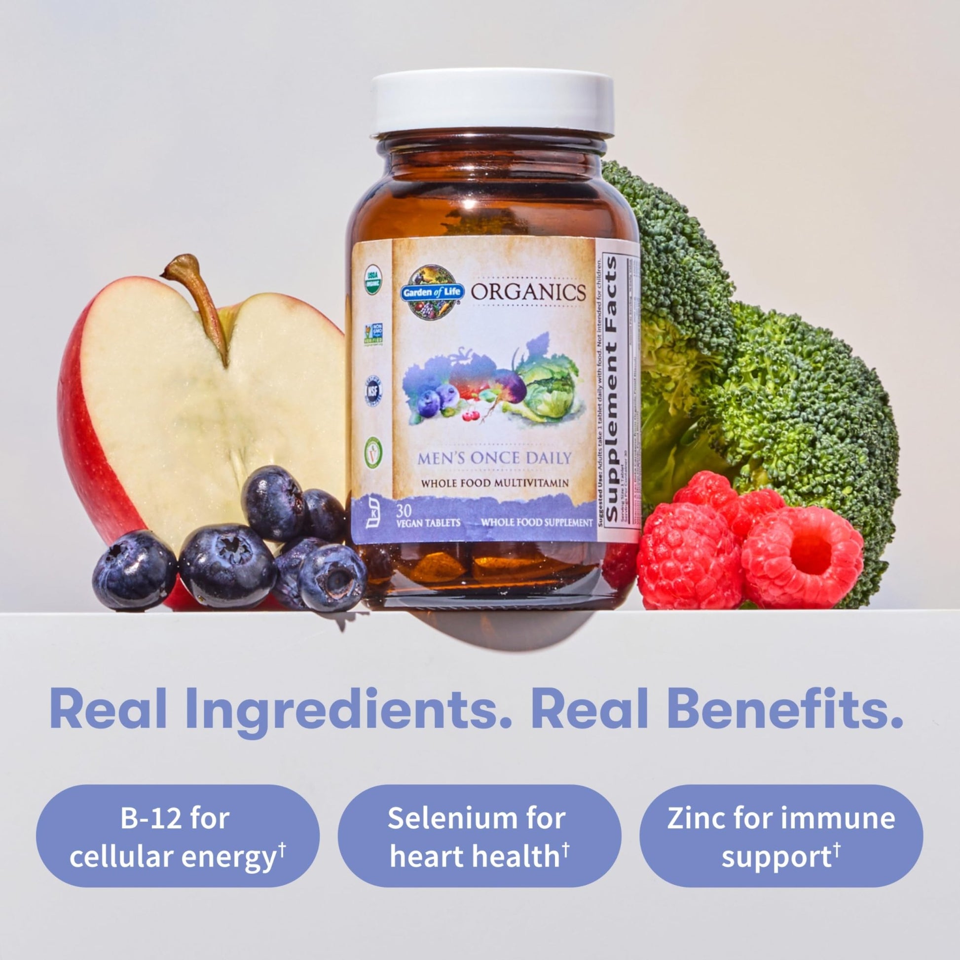 Garden of Life Once Daily Whole Food Multivitamin for Men, Organic Mens Vitamins & Minerals, Vitamin C, Zinc, Vegan, for Health & Well-Being, 60 Tablets - dailyvitalstore