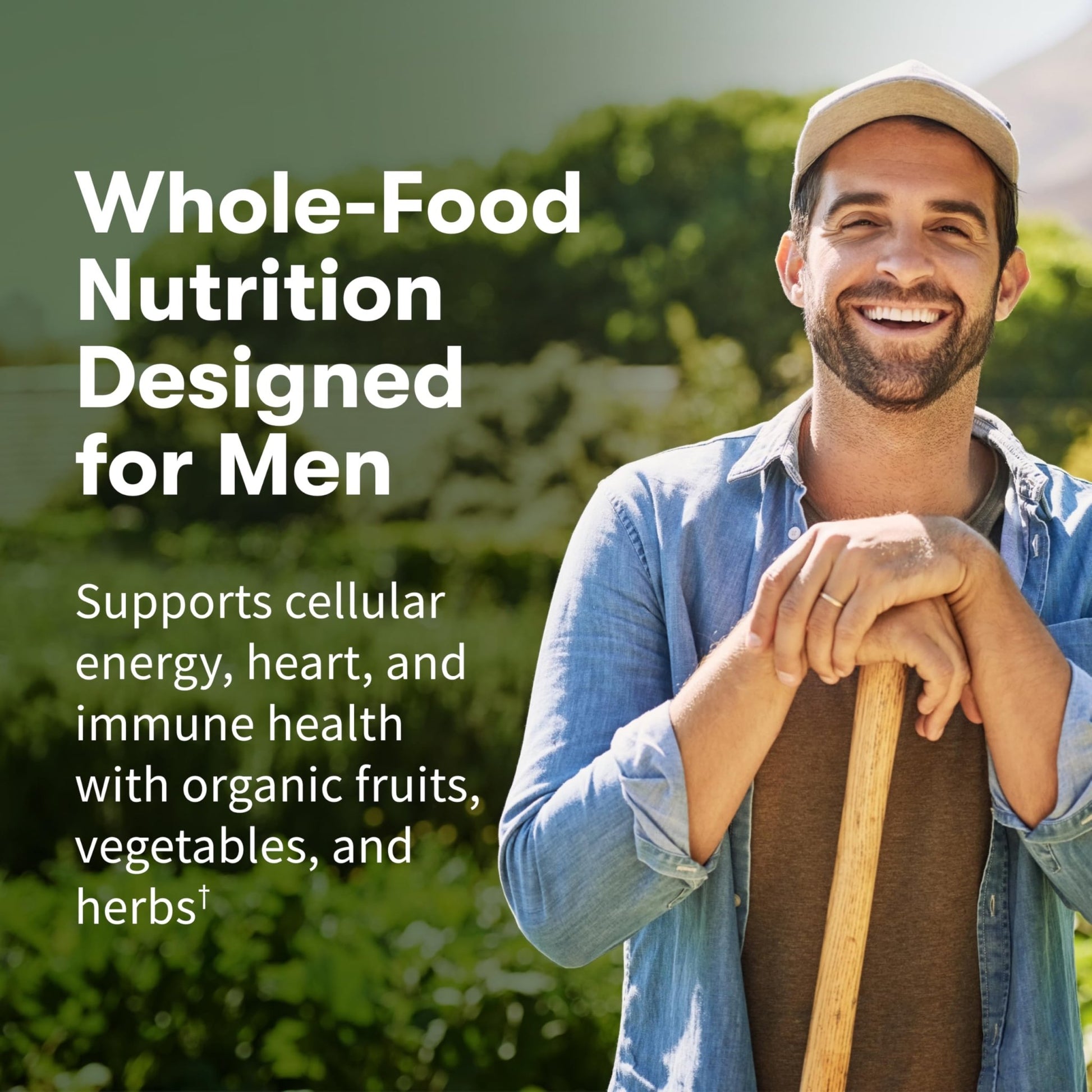 Garden of Life Once Daily Whole Food Multivitamin for Men, Organic Mens Vitamins & Minerals, Vitamin C, Zinc, Vegan, for Health & Well-Being, 60 Tablets - dailyvitalstore