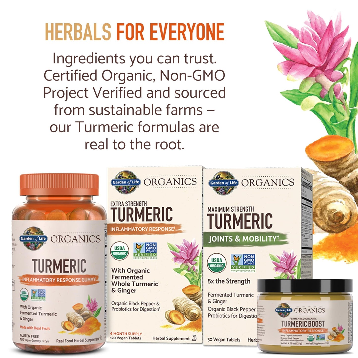 Garden of Life Organics Extra Strength Turmeric Inflammatory Response 120 Tablets-100Mg Curcumin (95% Curcuminoids) Black Pepper, Probiotics, Organic Non-GMO Vegan Gluten Free Herbal Supplement - dailyvitalstore