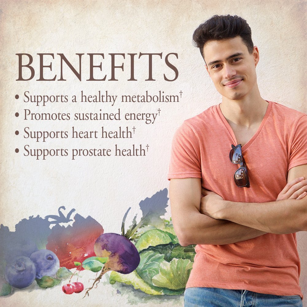 Garden of Life Organics Whole Food Multivitamin for Men, 120 Tablets, Vegan Mens Vitamins and Minerals for Health and Well-Being, Certified Organic Vegan Multi - dailyvitalstore