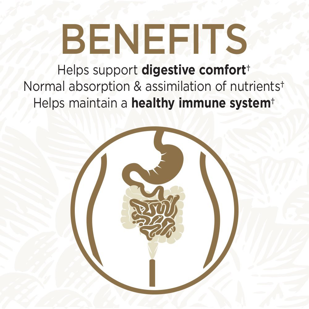 Garden of Life Probiotics for Digestive Health and Gut Health Balance, Primal Defense Ultra Ultimate Formula, 15 Billion CFU and 13 Strains Plus HSOs, - dailyvitalstore
