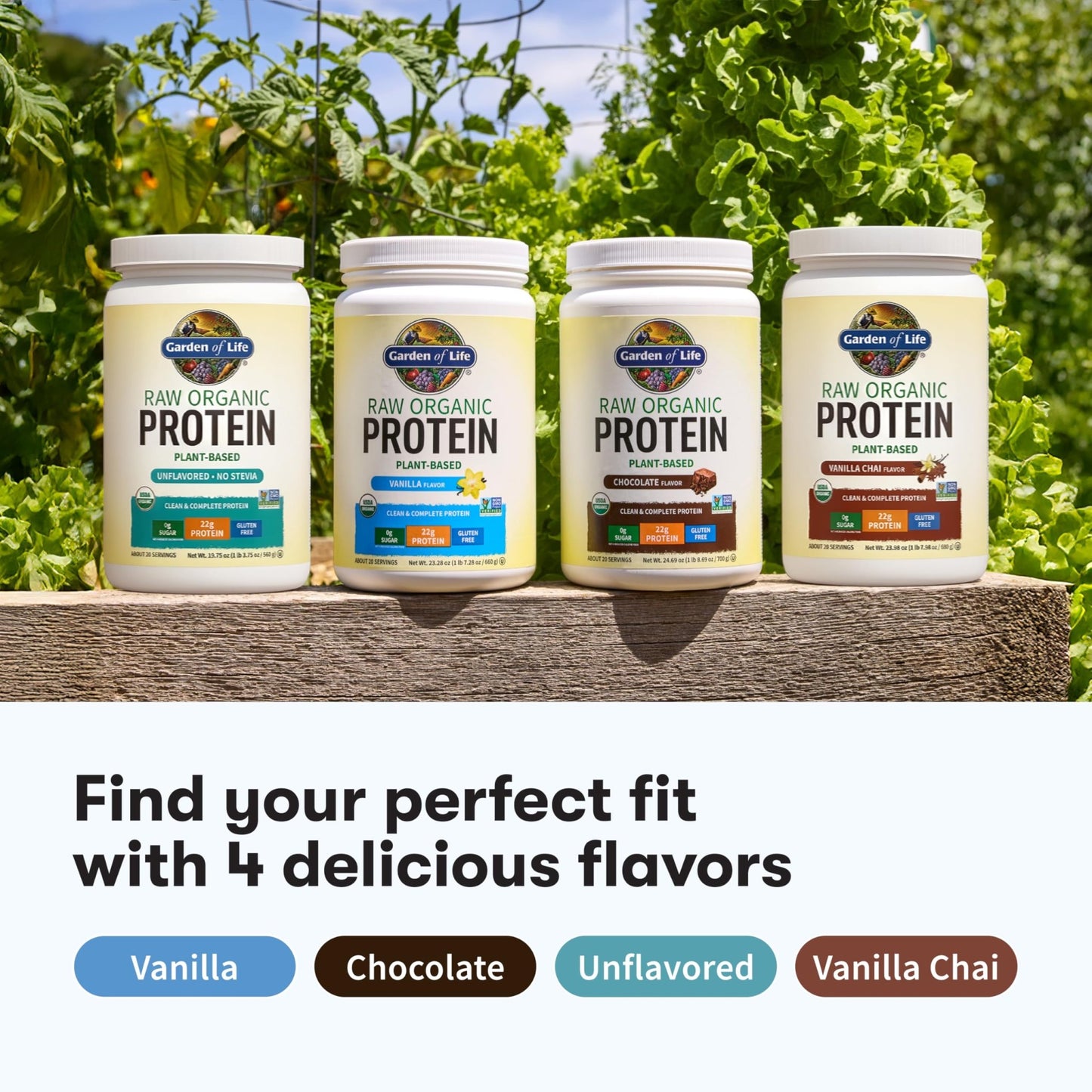 Garden Of Life Protein Powder, Vegan Protein Powder, Bcaa, Probiotics & Digestive Enzymes, Gluten & Lactose Free, Vanilla, 23.28 Ounce - dailyvitalstore