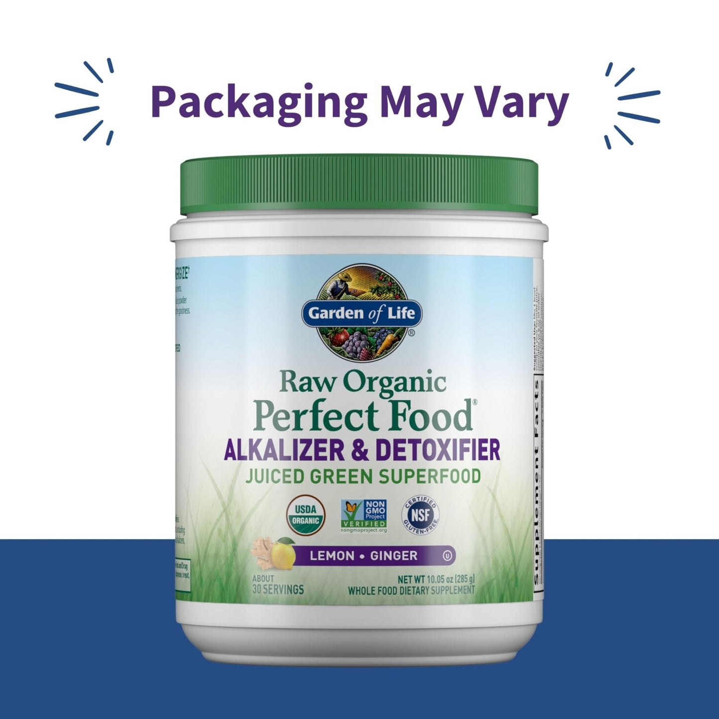 Garden of Life Raw Organic Perfect Food Alkalizer and Detoxifier, Lemon Ginger Flavored Superfood Powder Supplement, 30 Servings - dailyvitalstore