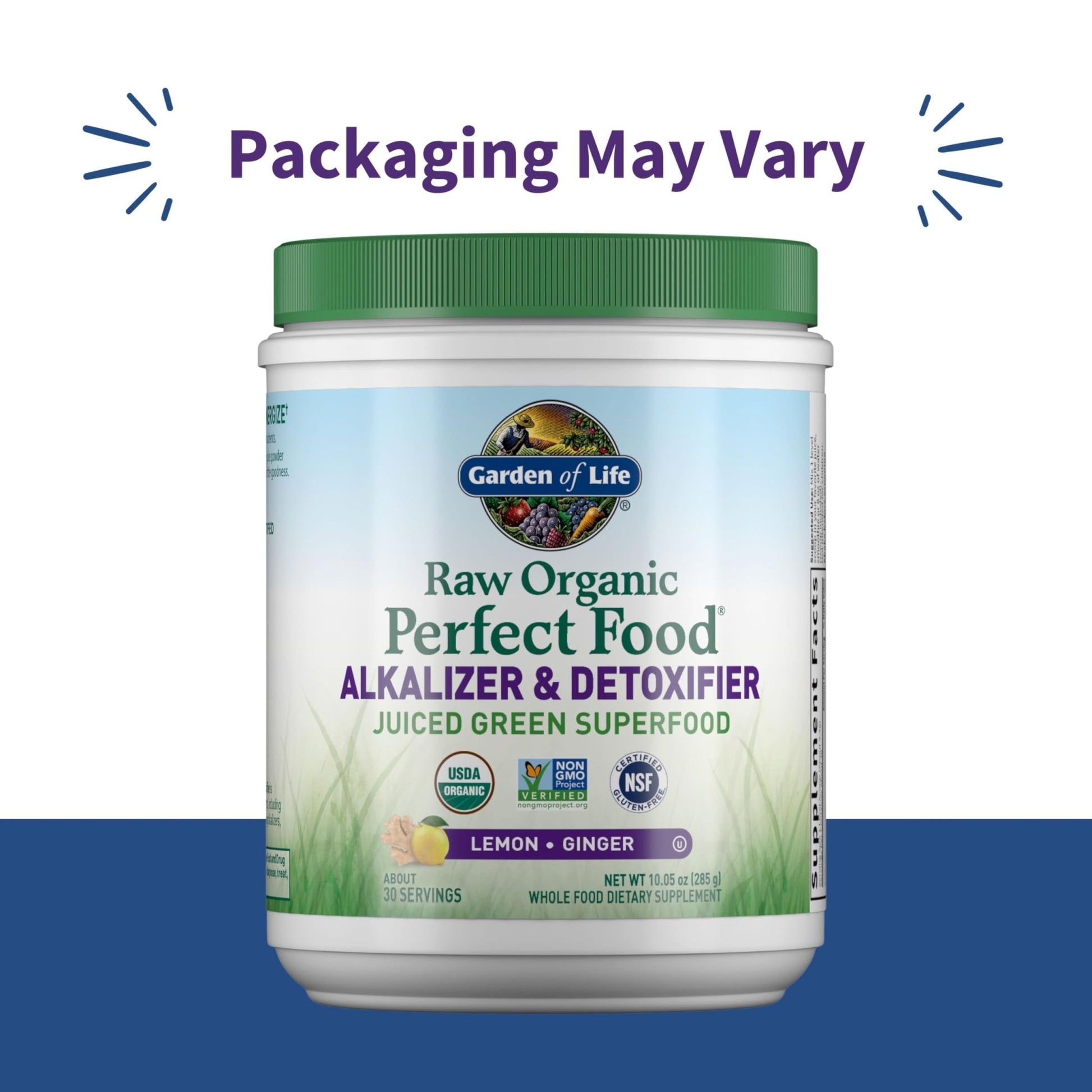 Garden of Life Raw Organic Perfect Food Alkalizer and Detoxifier, Lemon Ginger Flavored Superfood Powder Supplement, 30 Servings - dailyvitalstore