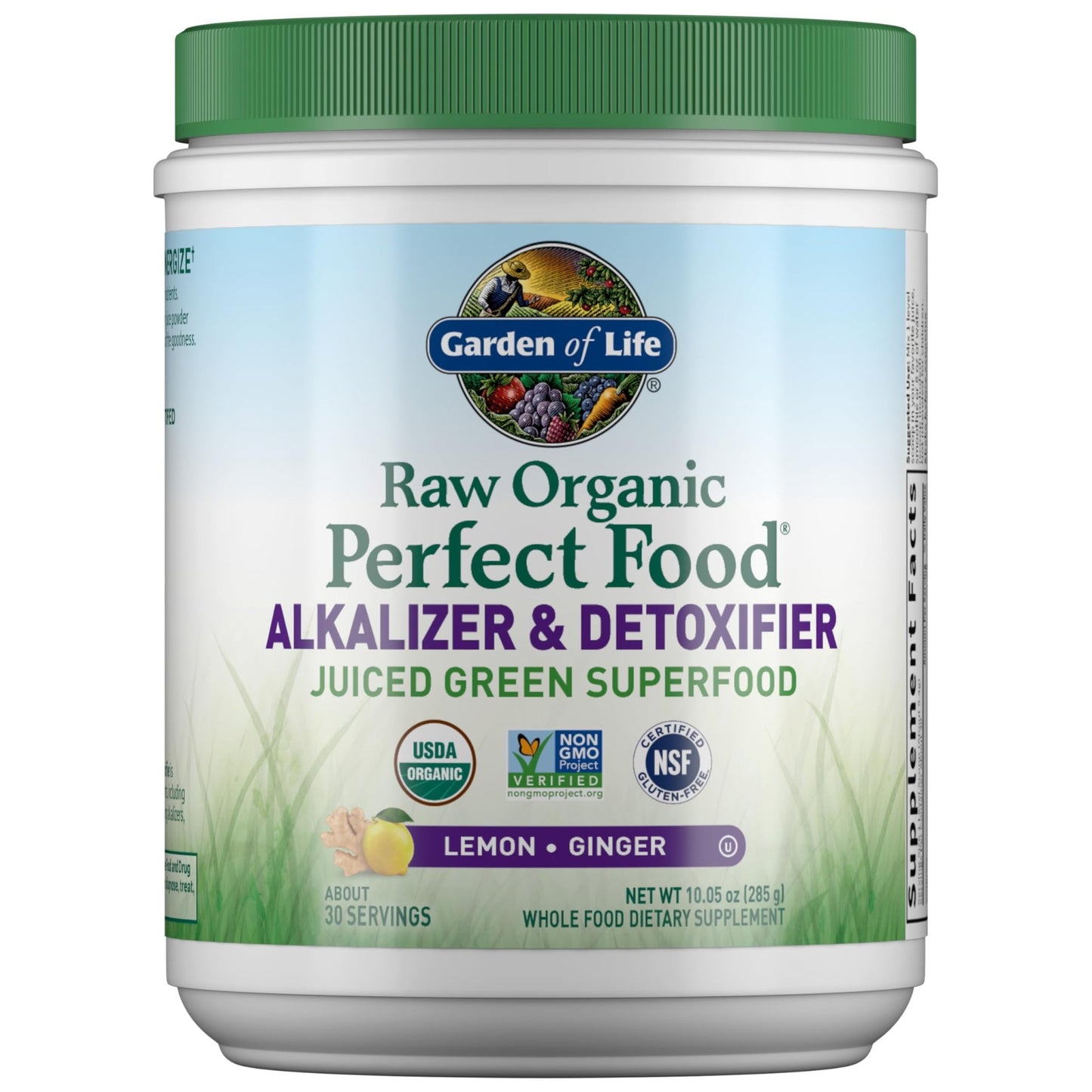 Garden of Life Raw Organic Perfect Food Alkalizer and Detoxifier, Lemon Ginger Flavored Superfood Powder Supplement, 30 Servings - dailyvitalstore