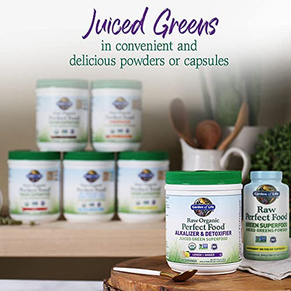 Garden of Life Raw Organic Perfect Food Alkalizer and Detoxifier, Lemon Ginger Flavored Superfood Powder Supplement, 30 Servings - dailyvitalstore
