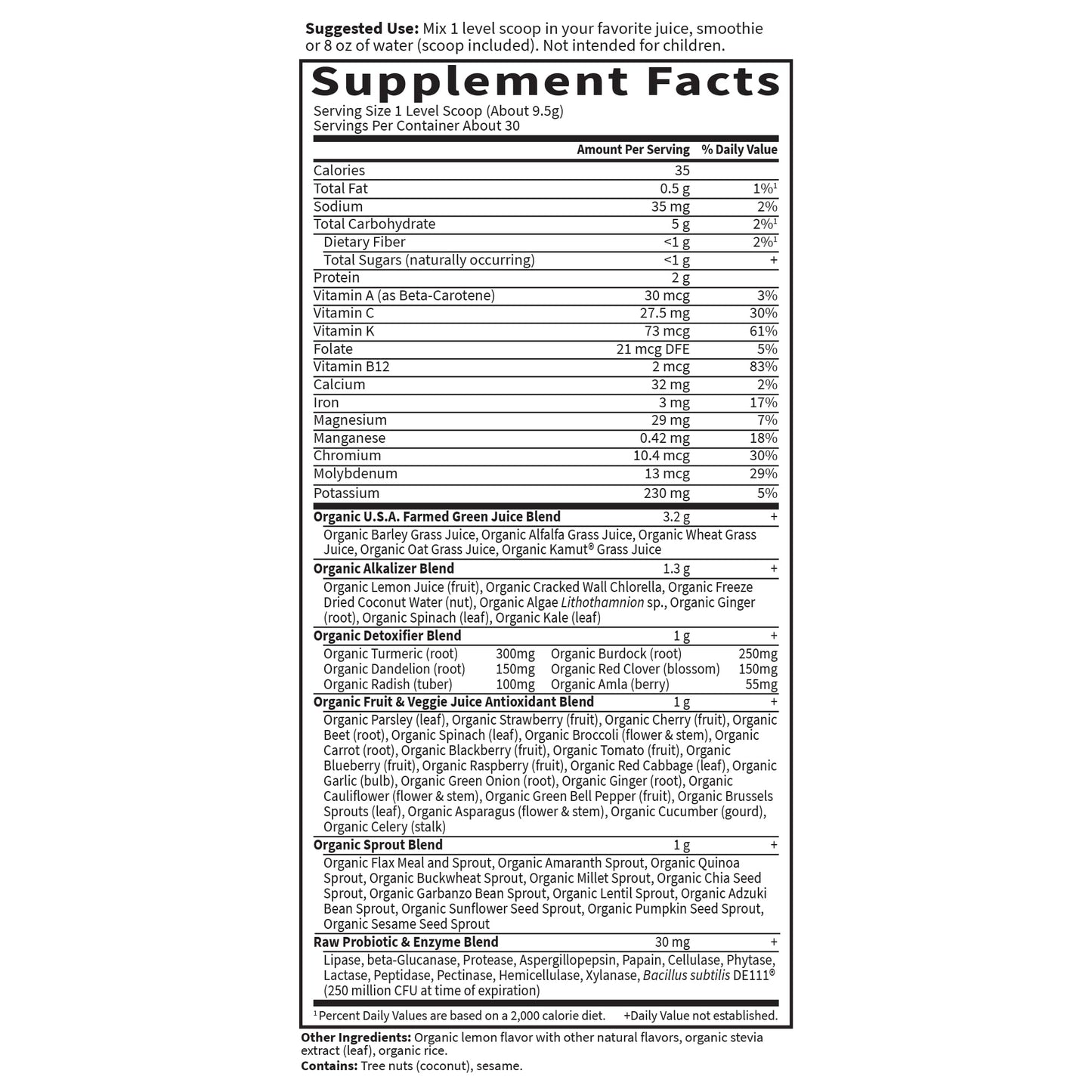 Garden of Life Raw Organic Perfect Food Alkalizer and Detoxifier, Lemon Ginger Flavored Superfood Powder Supplement, 30 Servings - dailyvitalstore