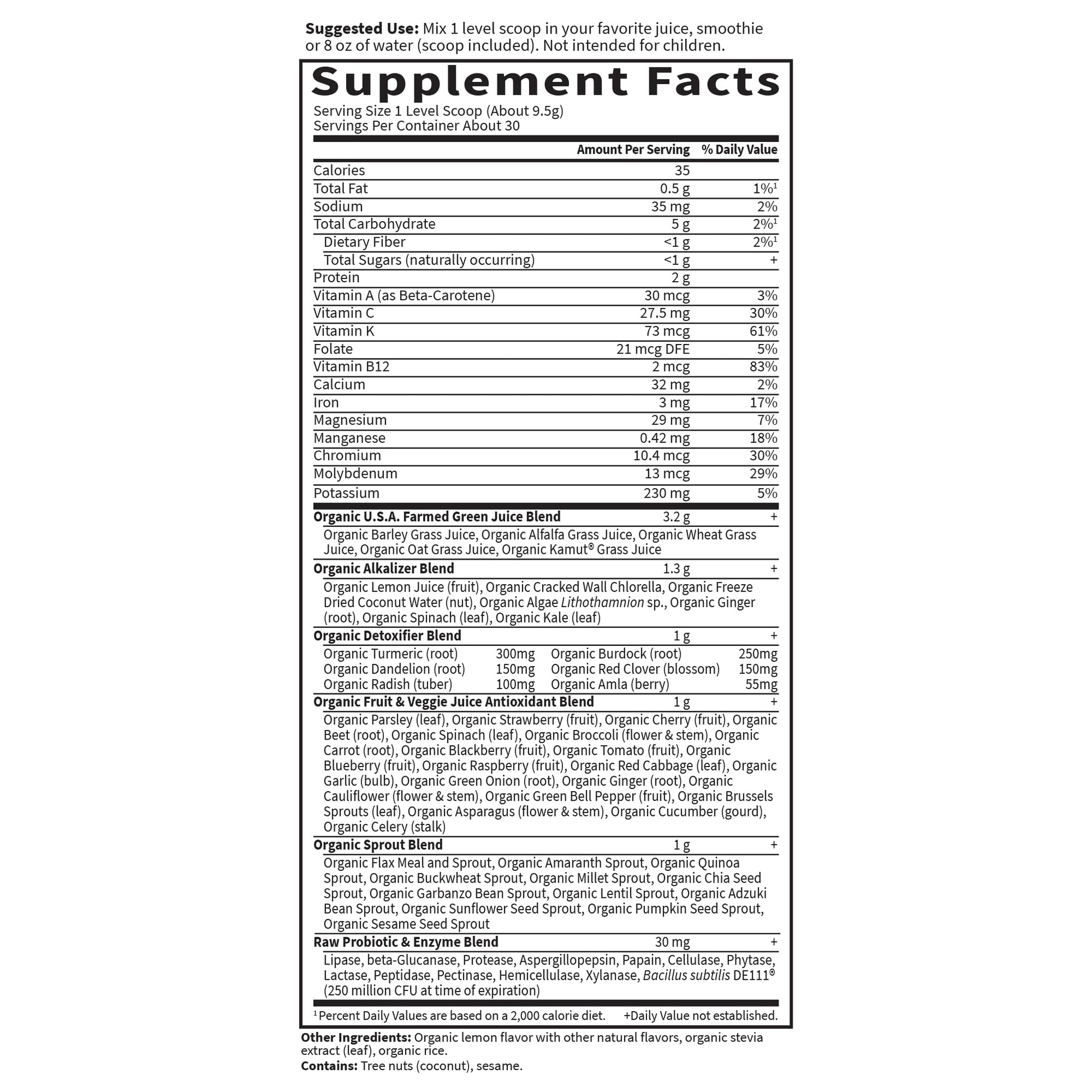 Garden of Life Raw Organic Perfect Food Alkalizer and Detoxifier, Lemon Ginger Flavored Superfood Powder Supplement, 30 Servings - dailyvitalstore