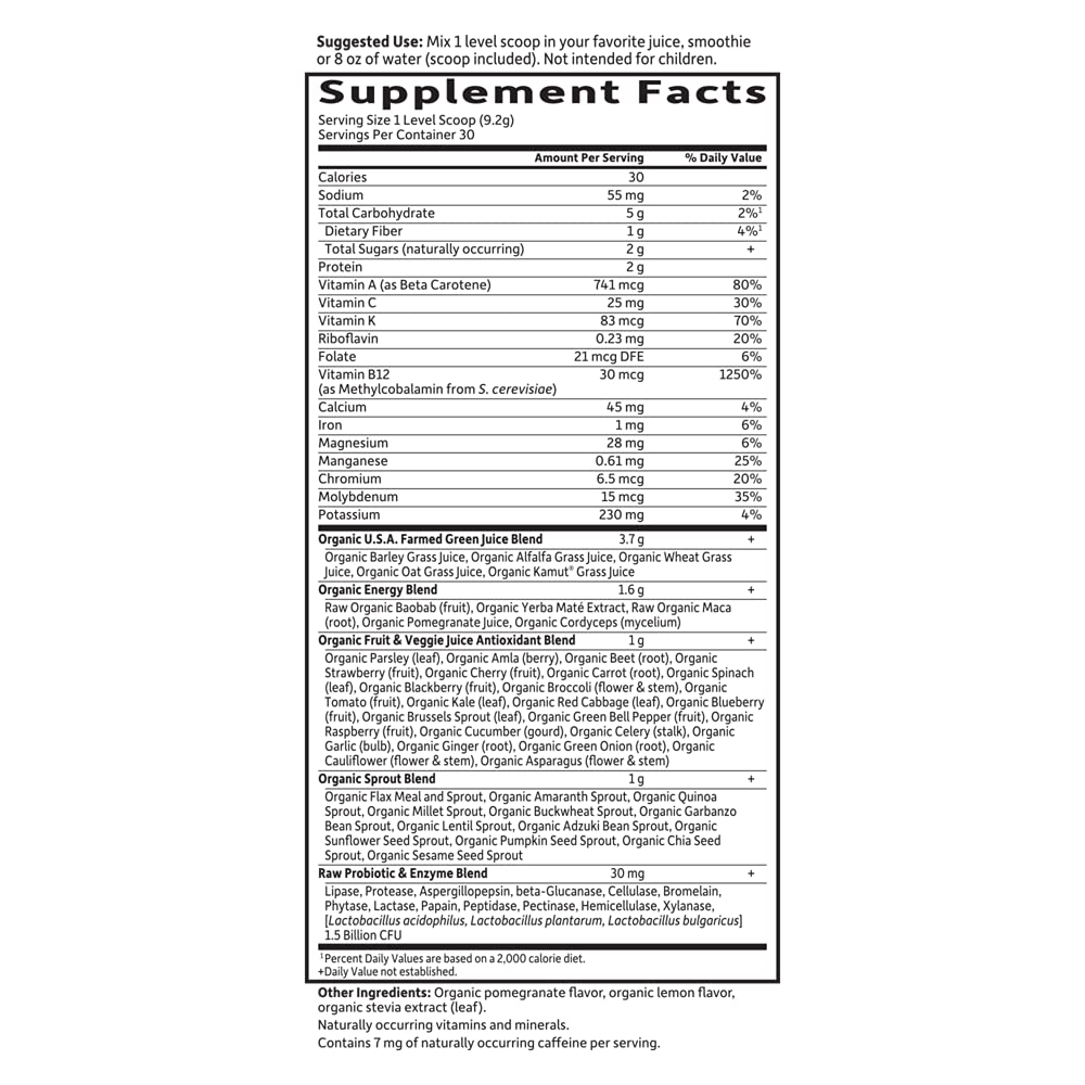 Garden of Life Raw Organic Perfect Food Energizer Juiced Green Superfood Powder - Yerba Mate Pomegranate, 30 Servings, Green Superfood Powder & Probiotics, Gluten Free Whole Food Greens Supplements - dailyvitalstore