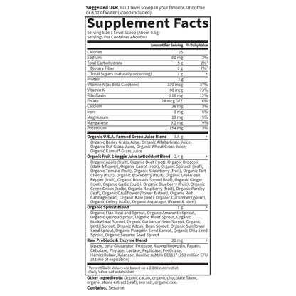 Garden of Life Raw Organic Perfect Food Green Superfood Juiced Greens Powder - Chocolate, 60 Servings, Non-GMO, Gluten Free, Vegan Whole Food Dietary Supplement Plus Probiotics, Enzymes - dailyvitalstore