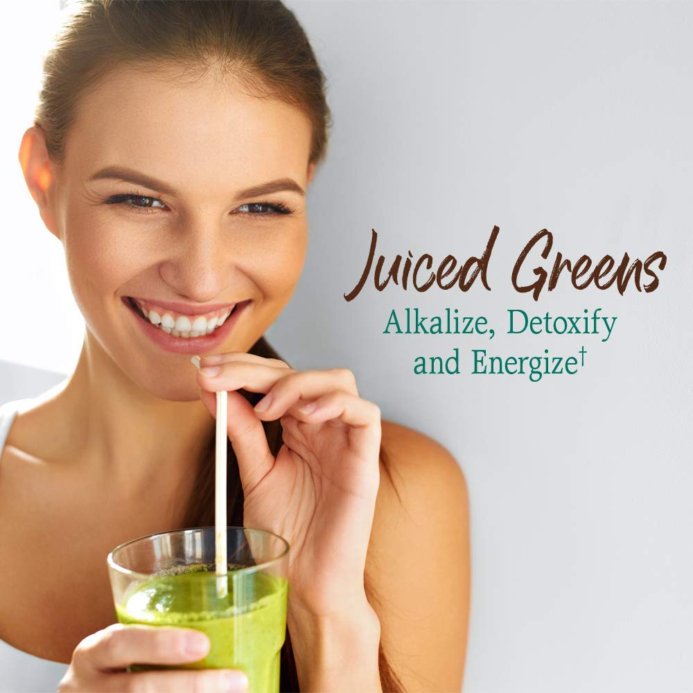 Garden of Life Raw Organic Perfect Food Green Superfood Juiced Greens Powder - Chocolate, 60 Servings, Non-GMO, Gluten Free, Vegan Whole Food Dietary Supplement Plus Probiotics, Enzymes - dailyvitalstore