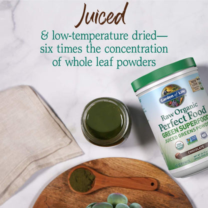 Garden of Life Raw Organic Perfect Food Green Superfood Juiced Greens Powder - Chocolate, 60 Servings, Non-GMO, Gluten Free, Vegan Whole Food Dietary Supplement Plus Probiotics, Enzymes - dailyvitalstore