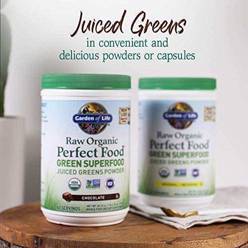 Garden of Life Raw Organic Perfect Food Green Superfood Juiced Greens Powder - Chocolate, 60 Servings, Non-GMO, Gluten Free, Vegan Whole Food Dietary Supplement Plus Probiotics, Enzymes - dailyvitalstore
