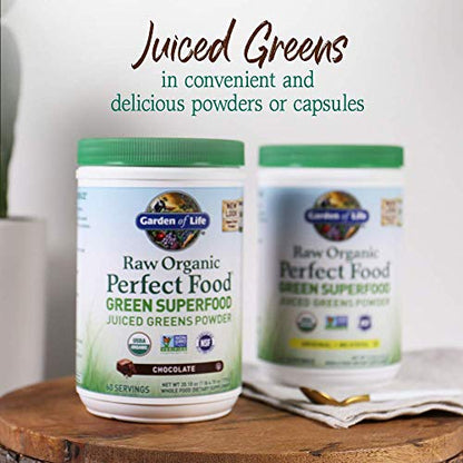 Garden of Life Raw Organic Perfect Food Green Superfood Juiced Greens Powder - Chocolate, 60 Servings, Non-GMO, Gluten Free, Vegan Whole Food Dietary Supplement Plus Probiotics, Enzymes - dailyvitalstore