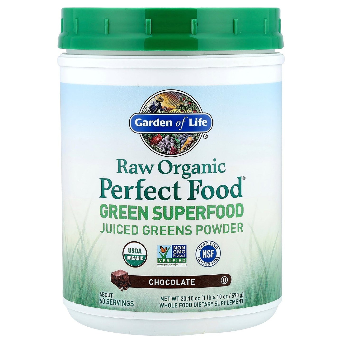 Garden of Life Raw Organic Perfect Food Green Superfood Juiced Greens Powder - Chocolate, 60 Servings, Non-GMO, Gluten Free, Vegan Whole Food Dietary Supplement Plus Probiotics, Enzymes - dailyvitalstore