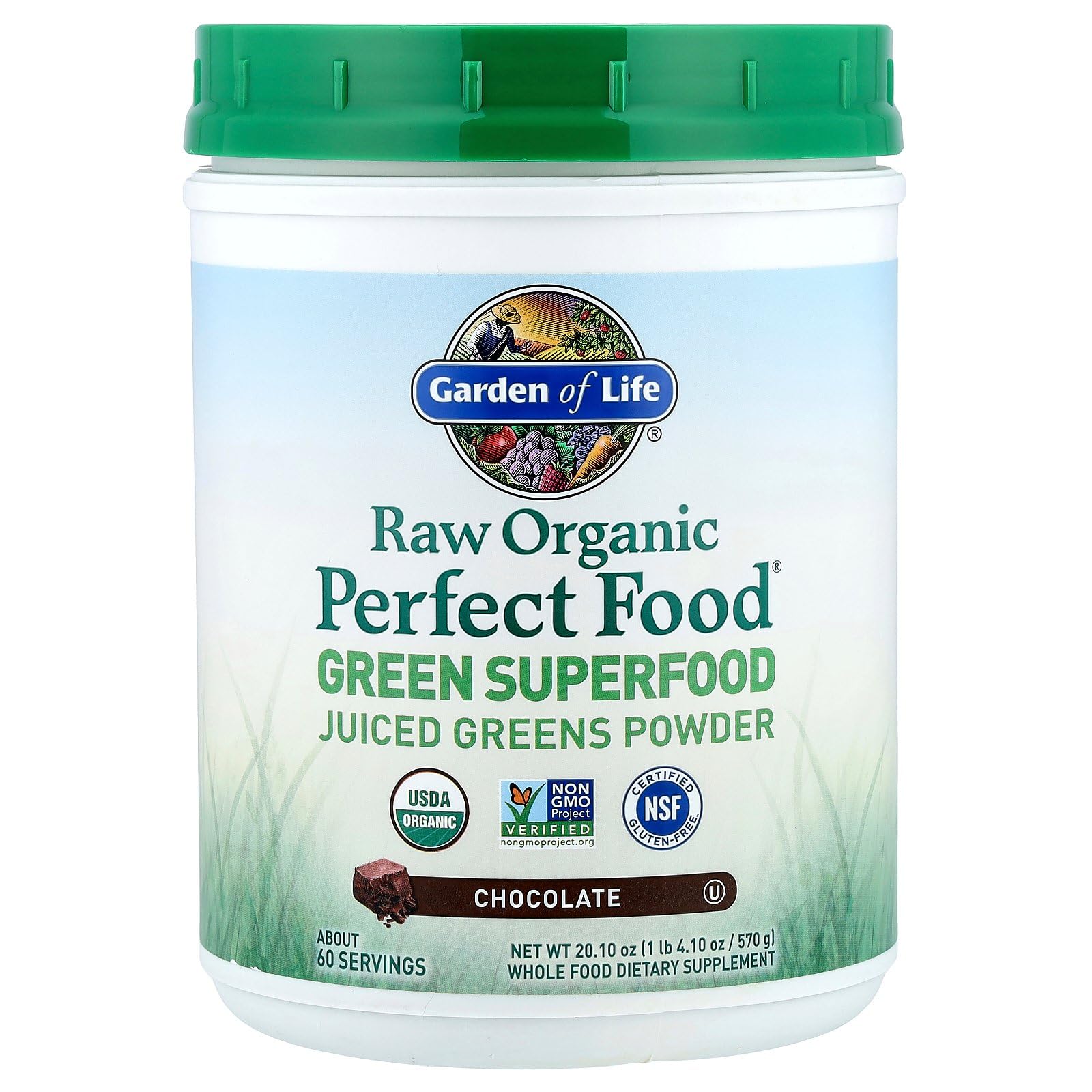 Garden of Life Raw Organic Perfect Food Green Superfood Juiced Greens Powder - Chocolate, 60 Servings, Non-GMO, Gluten Free, Vegan Whole Food Dietary Supplement Plus Probiotics, Enzymes - dailyvitalstore
