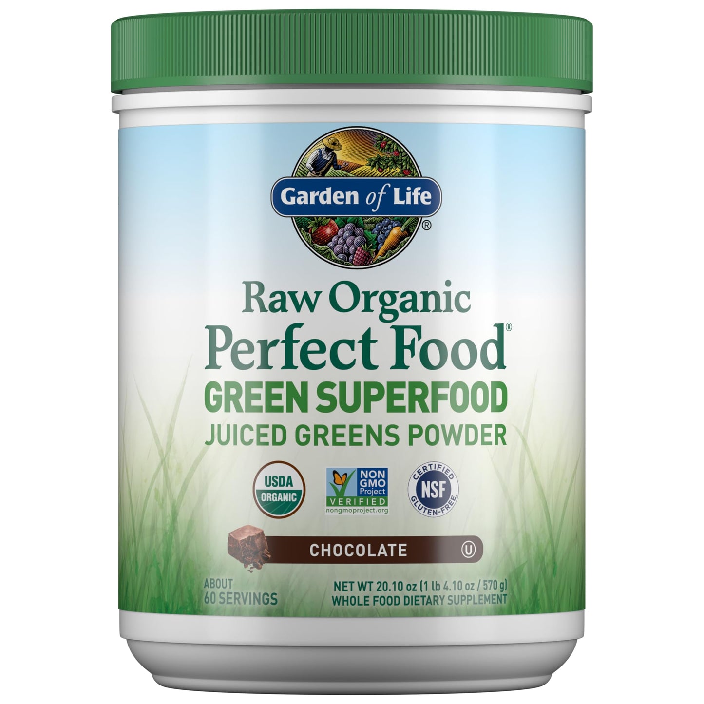Garden of Life Raw Organic Perfect Food Green Superfood Juiced Greens Powder - Chocolate, 60 Servings, Non-GMO, Gluten Free, Vegan Whole Food Dietary Supplement Plus Probiotics, Enzymes - dailyvitalstore