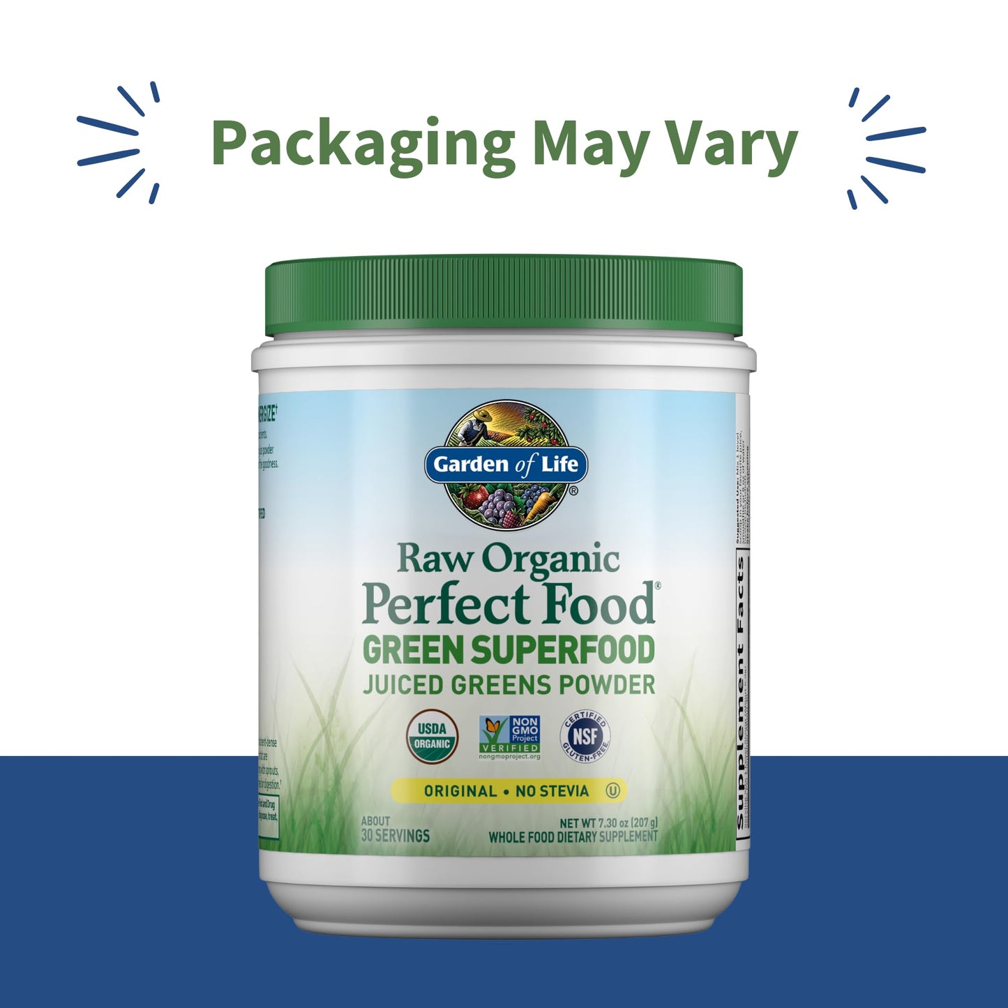 Garden of Life Raw Organic Perfect Food Green Superfood Juiced Greens Powder - Original Stevia-Free, 30 Servings, Non-GMO, Gluten Free Whole Food Dietary - dailyvitalstore