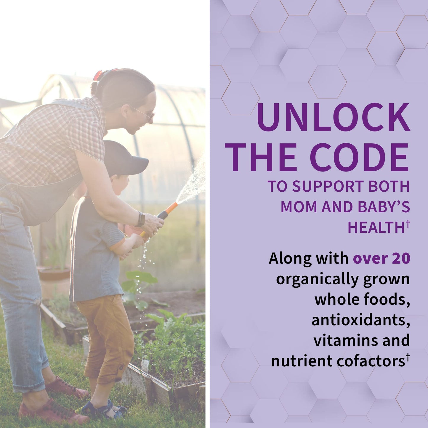 Garden Of Life, Raw Vitamin Code Prenatal, 180 Vegetarian Capsules - dailyvitalstore