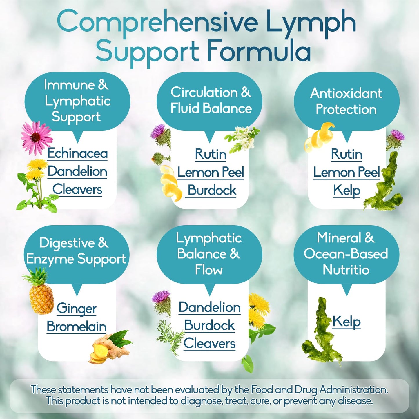 GAVYNETH Lymphatic Drainage Supplements for Lymph System Support – Echinacea, Dandelion & Burdock for Immune & Circulation Support, Vegan Herbal Formula for Women & Men, 60 Capsules - dailyvitalstore