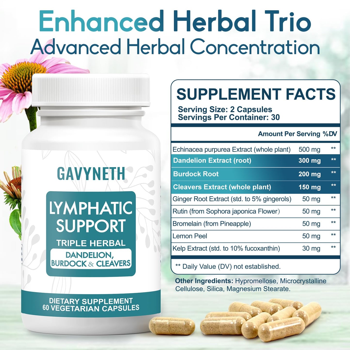 GAVYNETH Lymphatic Drainage Supplements for Lymph System Support – Echinacea, Dandelion & Burdock for Immune & Circulation Support, Vegan Herbal Formula for Women & Men, 60 Capsules - dailyvitalstore