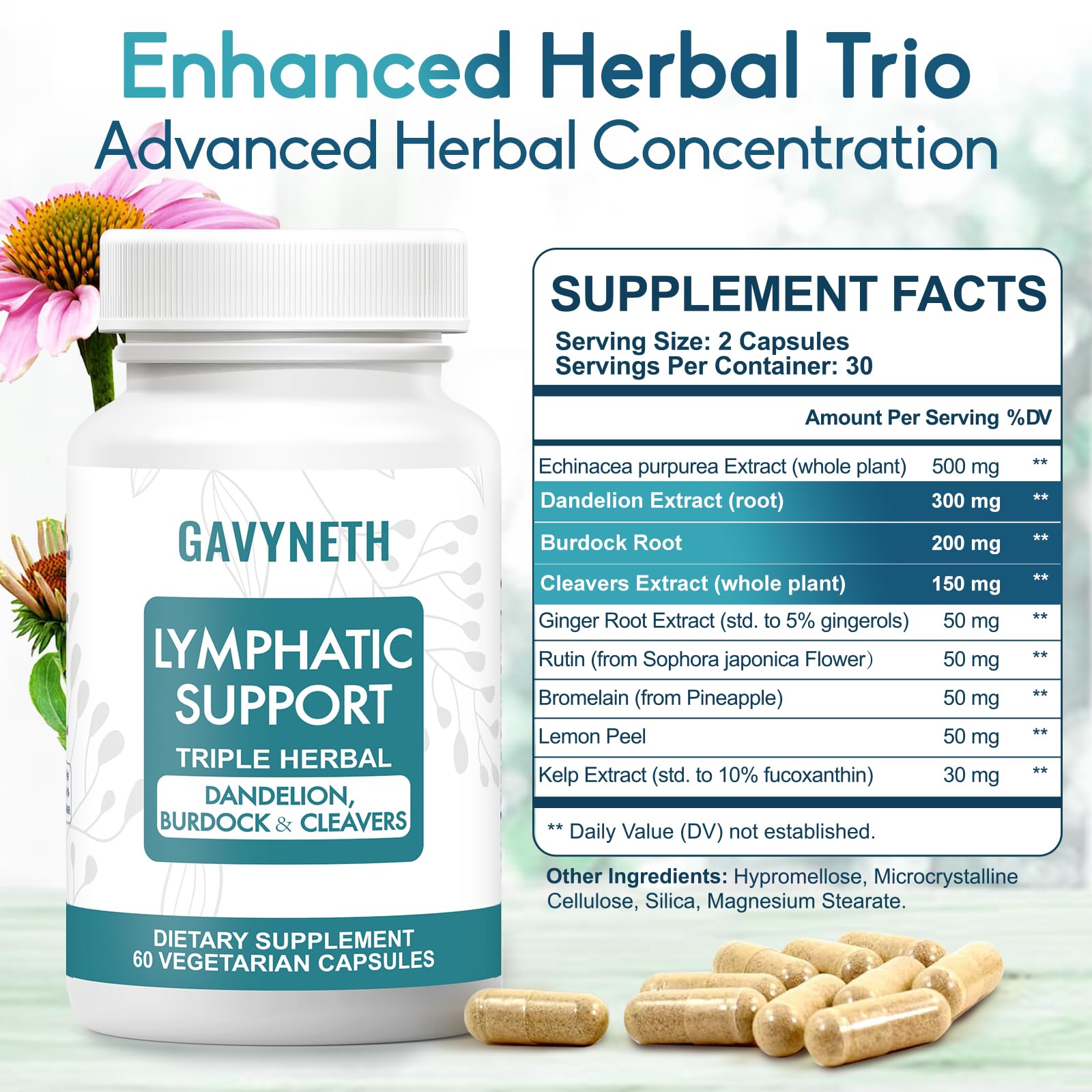 GAVYNETH Lymphatic Drainage Supplements for Lymph System Support – Echinacea, Dandelion & Burdock for Immune & Circulation Support, Vegan Herbal Formula for Women & Men, 60 Capsules - dailyvitalstore