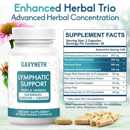 GAVYNETH Lymphatic Drainage Supplements for Lymph System Support – Echinacea, Dandelion & Burdock for Immune & Circulation Support, Vegan Herbal Formula for Women & Men, 60 Capsules - dailyvitalstore