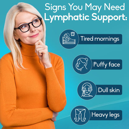 GAVYNETH Lymphatic Drainage Supplements for Lymph System Support – Echinacea, Dandelion & Burdock for Immune & Circulation Support, Vegan Herbal Formula for Women & Men, 60 Capsules - dailyvitalstore