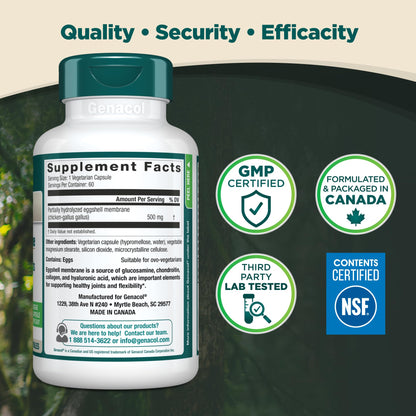 Genacol Ovoflex – Natural Eggshell Membrane Supplement, Support Healthy Joints & Flexibility, Vegetarian Solution for Joint Care, Results in 7 Days, Value Pack, 60 Capsules (60-Day Supply) - dailyvitalstore