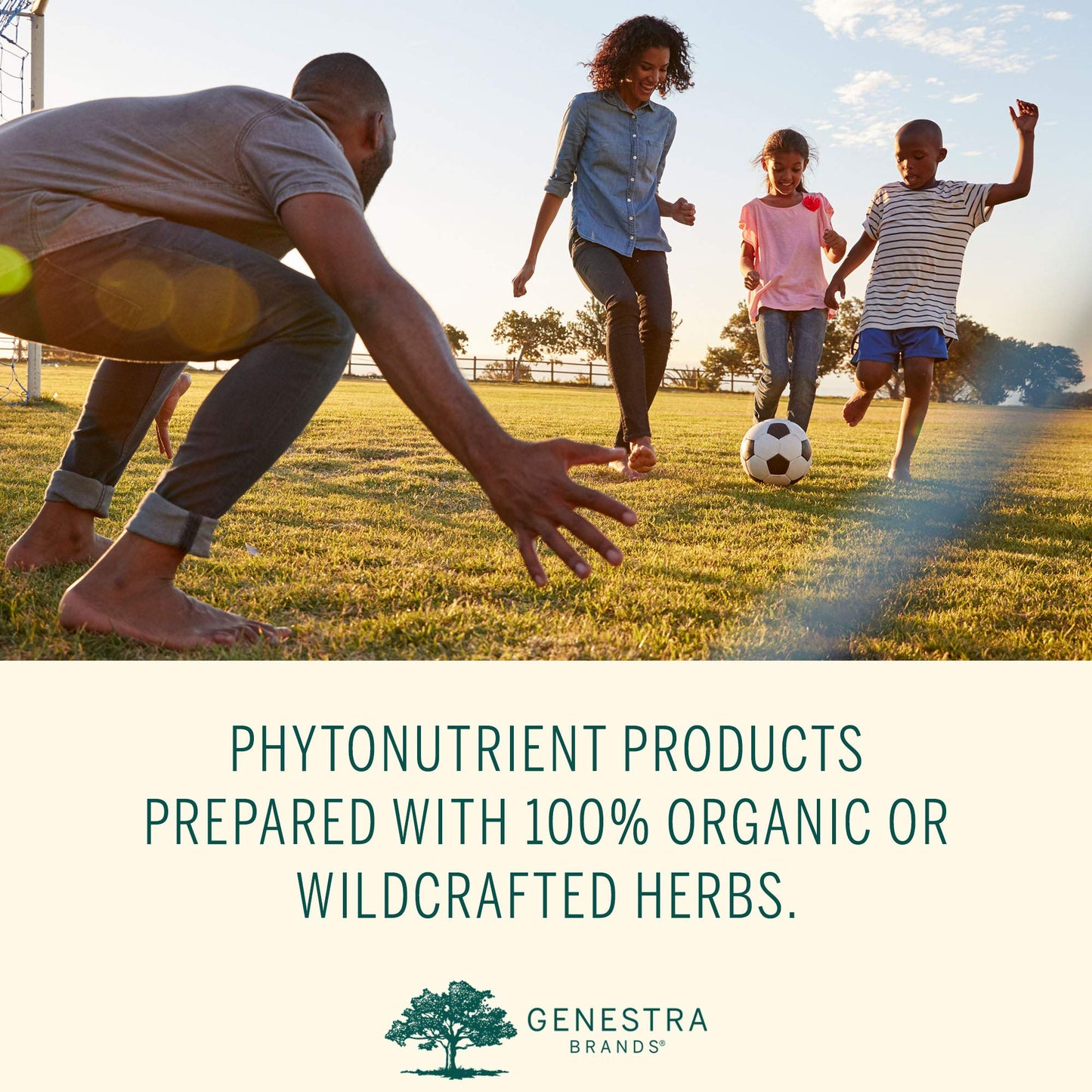 Genestra Brands Phyto Greens Capsules | Vitamins, Dietary Fiber and Enzymes for Optimum Nutrition | 180 Capsules - dailyvitalstore