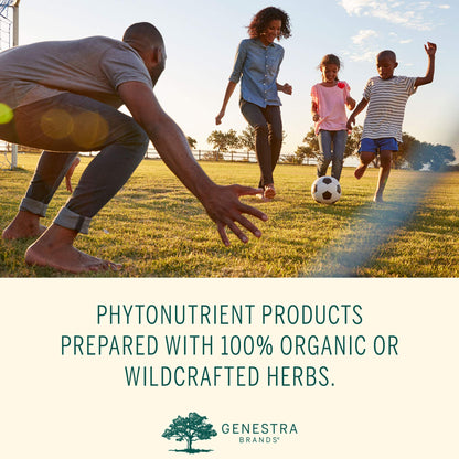 Genestra Brands Phyto Greens Capsules | Vitamins, Dietary Fiber and Enzymes for Optimum Nutrition | 180 Capsules - dailyvitalstore