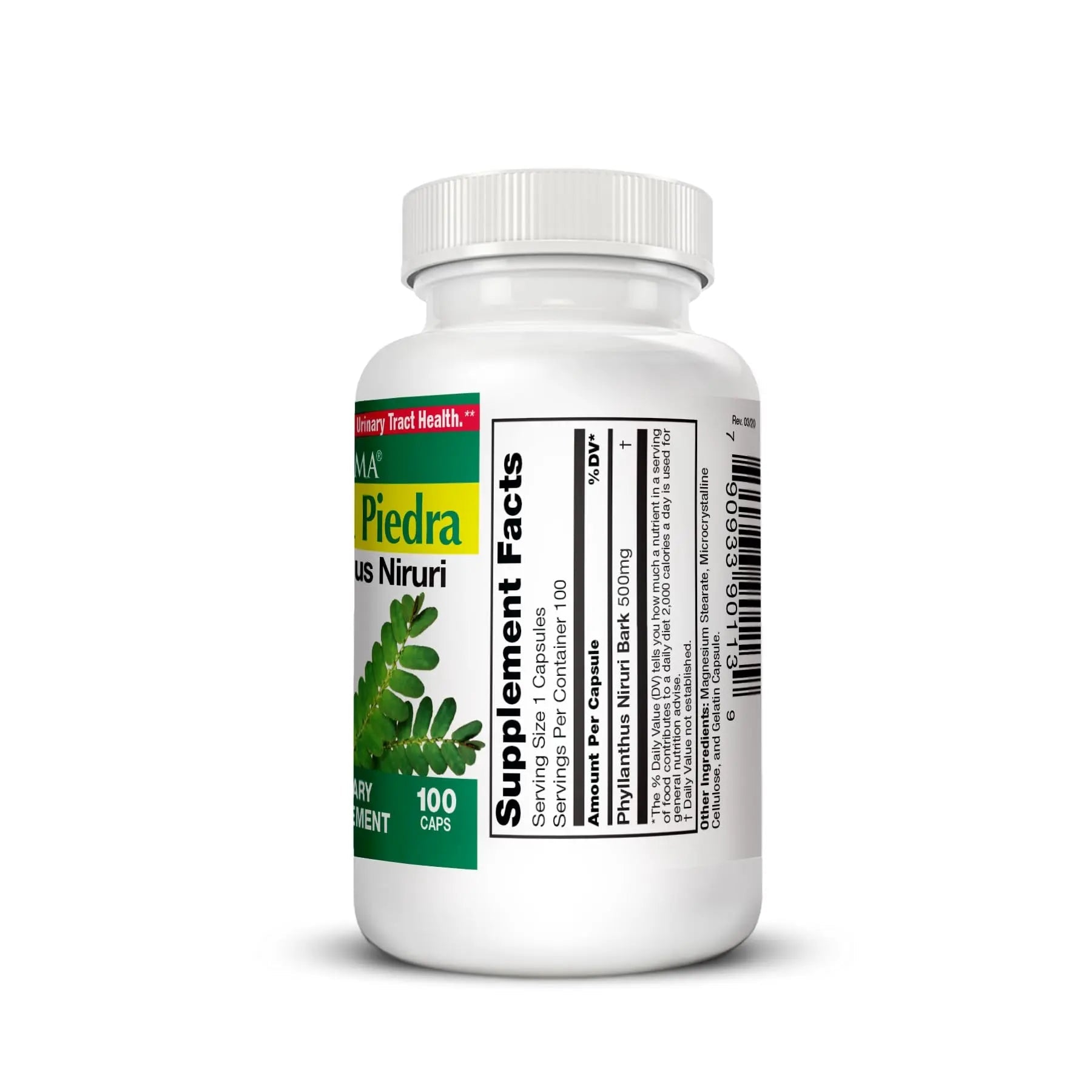 Germa Chanca Piedra Supplement – 500mg Phyllanthus Niruri – Traditional Stone Breaker Herb for Urinary & Kidney Support – Rainforest Botanical – 100% Natural Vegan Capsules, 100 Count - dailyvitalstore