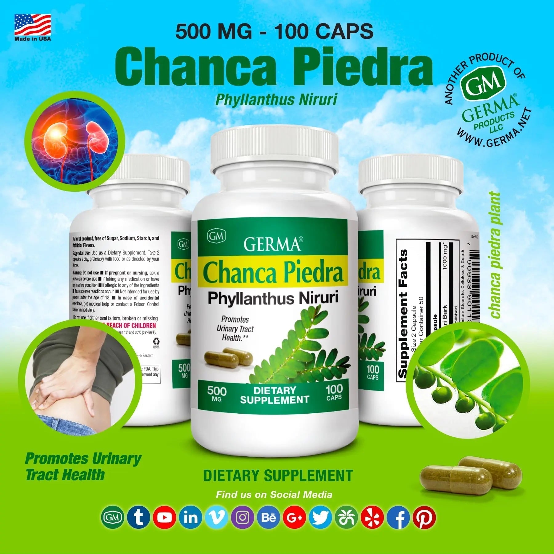Germa Chanca Piedra Supplement – 500mg Phyllanthus Niruri – Traditional Stone Breaker Herb for Urinary & Kidney Support – Rainforest Botanical – 100% Natural Vegan Capsules, 100 Count - dailyvitalstore