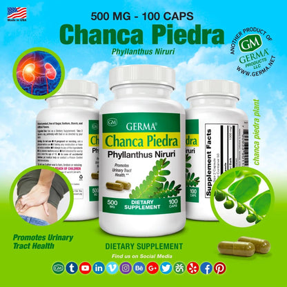 Germa Chanca Piedra Supplement – 500mg Phyllanthus Niruri – Traditional Stone Breaker Herb for Urinary & Kidney Support – Rainforest Botanical – 100% Natural Vegan Capsules, 100 Count - dailyvitalstore