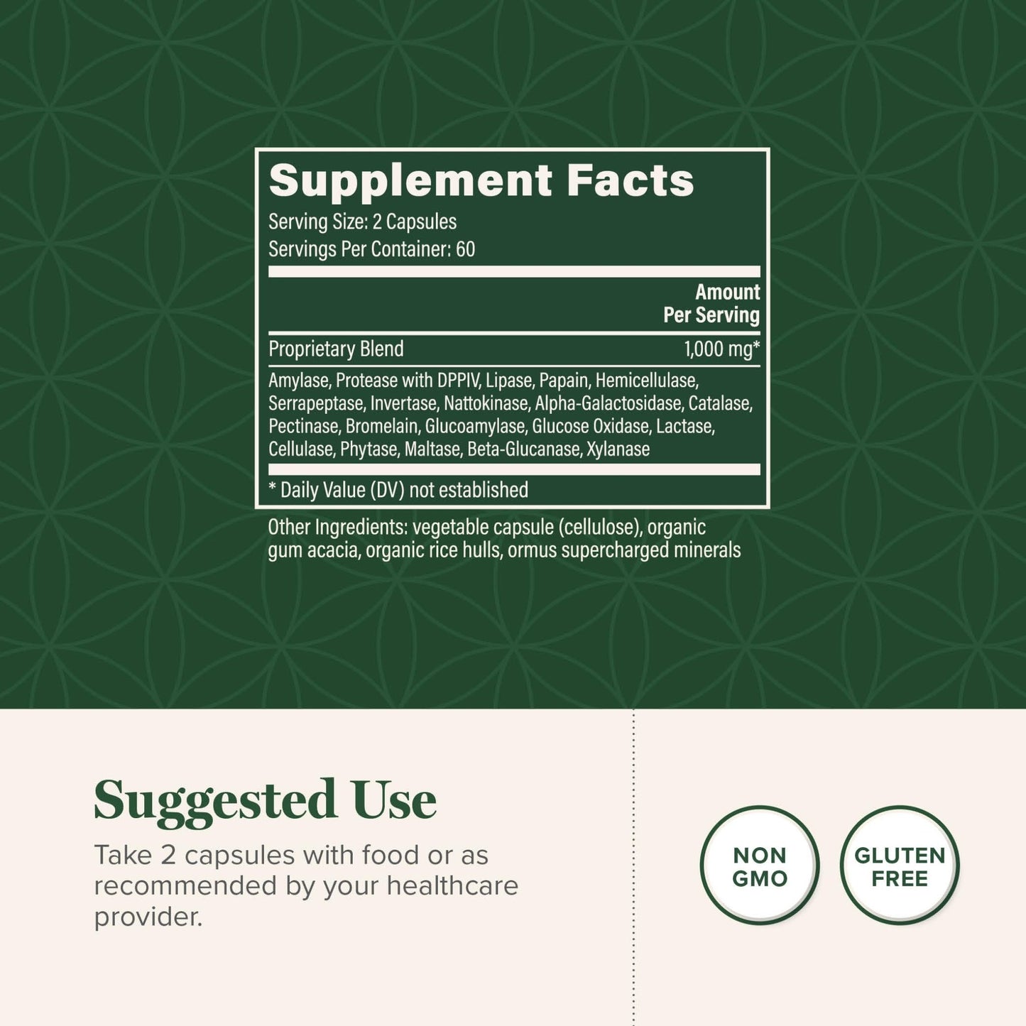 Global Healing - Ultimate Enzymes - Systemic & Digestive Enzymes Supplement for Healthy Digestion, Immune System Boost & Natural Gut Health, Digestive Enzyme for Women & Men, Lipase - dailyvitalstore